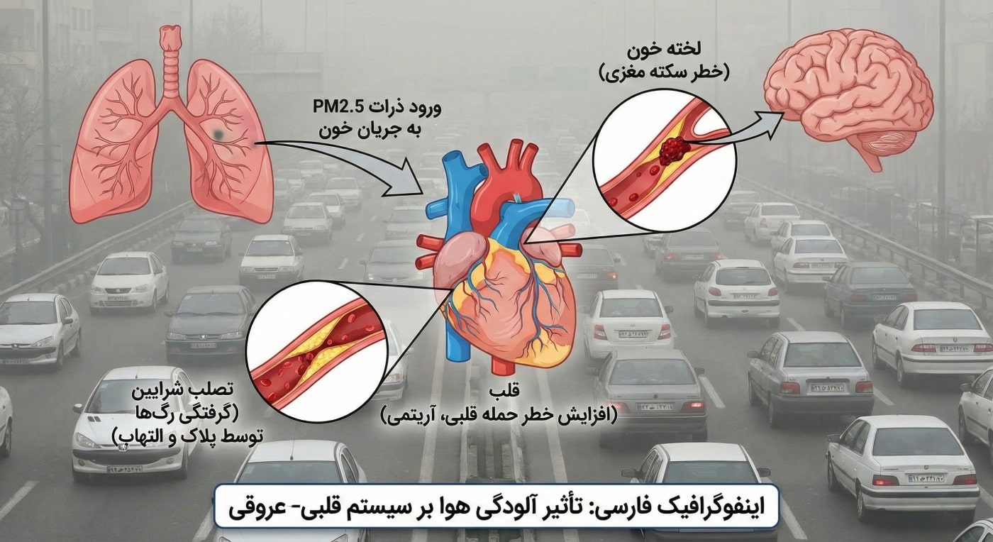 تاثیر آلودگی بر سیستم قلبی-عروقی | مرکز پرستاری توانا